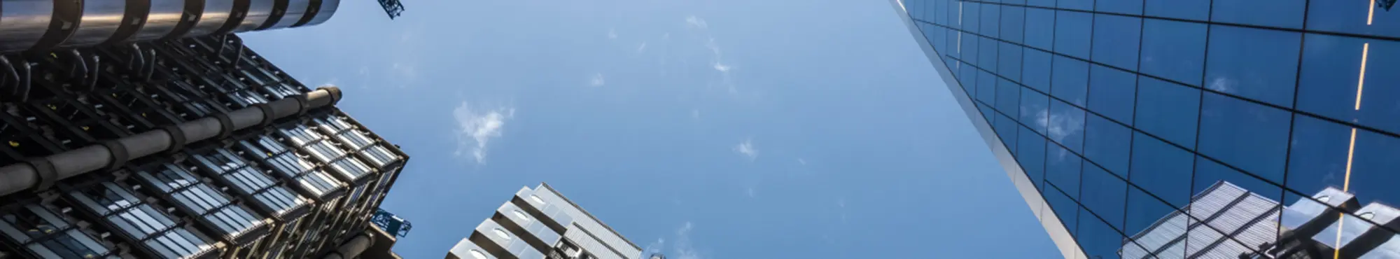 qiye_bng