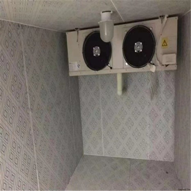 Small cold storage machine (3).jpg